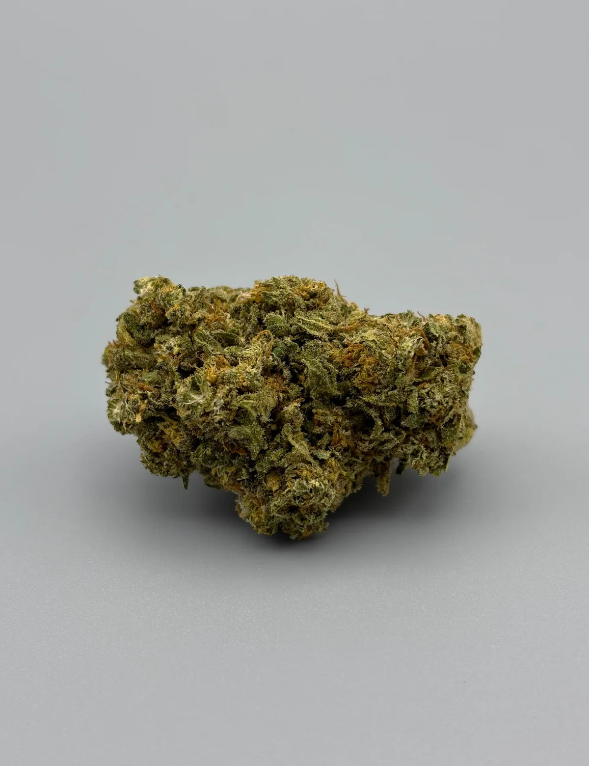 CALIFORNIA Alien