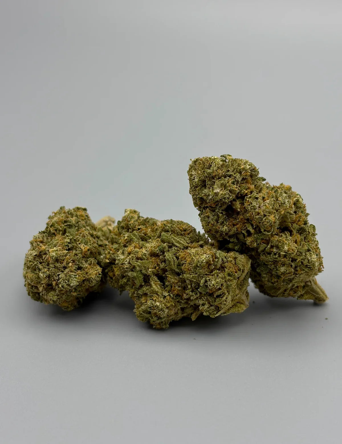 CALIFORNIA Alien