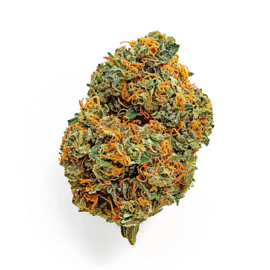 AK47 - suisse indoor