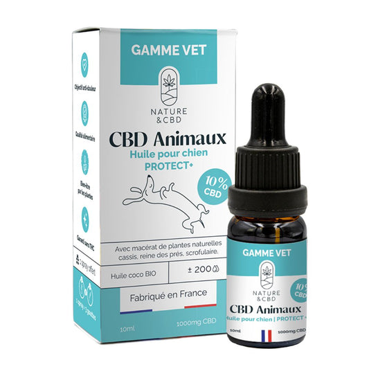 HUILE CBD ANIMAUX PROTECT+ 10% douleurs inflammatoires - CHIEN